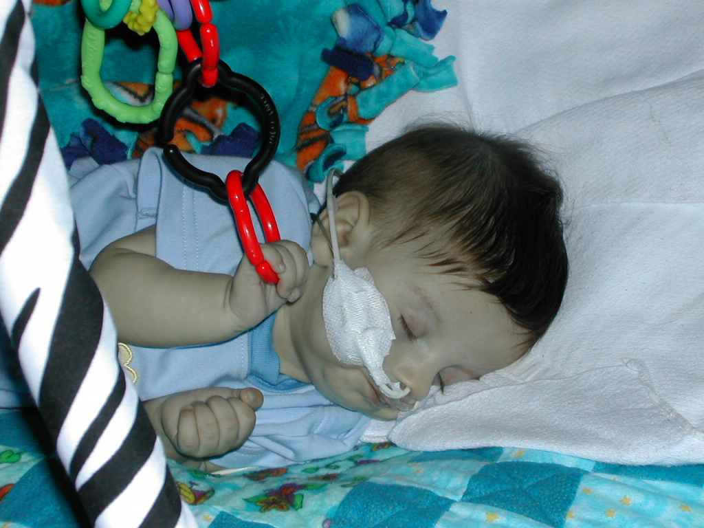 1002x745 pixels (355K)